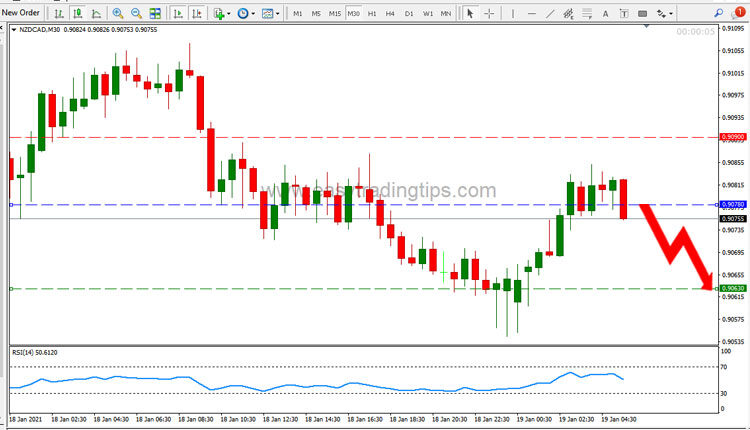 NZD CAD Price Forecast January 19, 2021