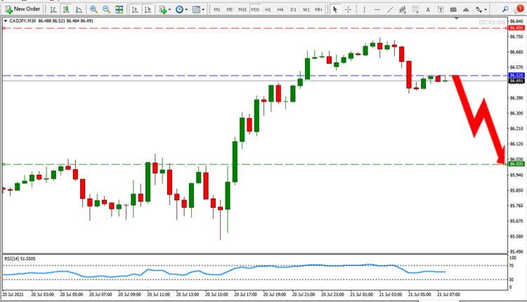 CAD JPY Price Forecast July 21, 2021
