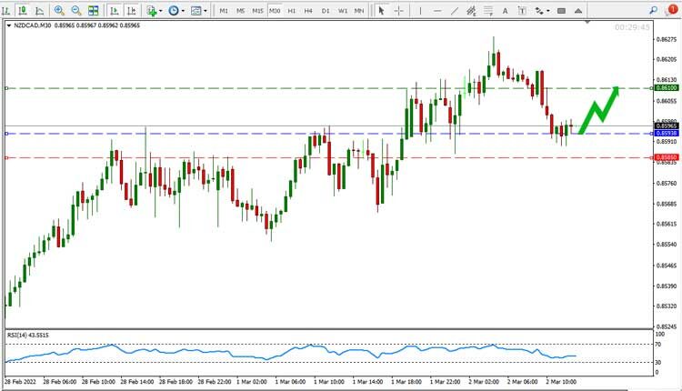 NZD CAD Price Forecast
